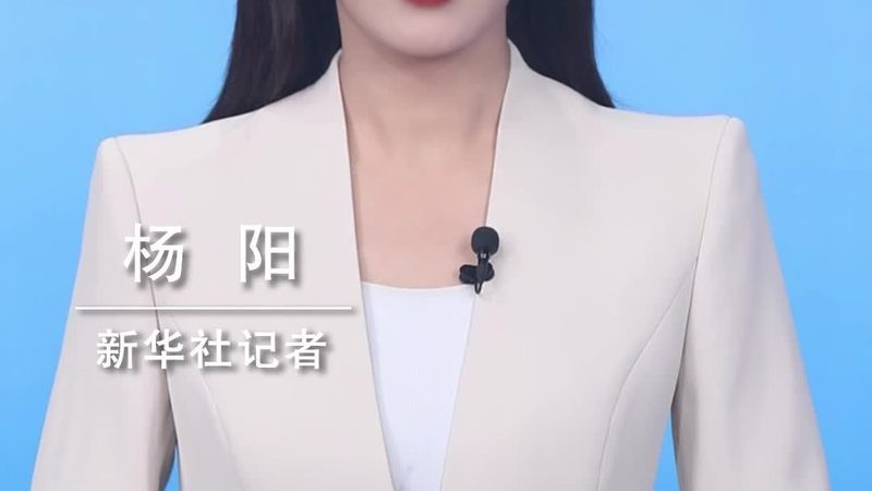 SaaS平台定制开发：揭秘企业数字化转型背后的关键技术