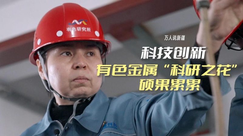 企业数据安全方案批发定价背后的真实成本逻辑